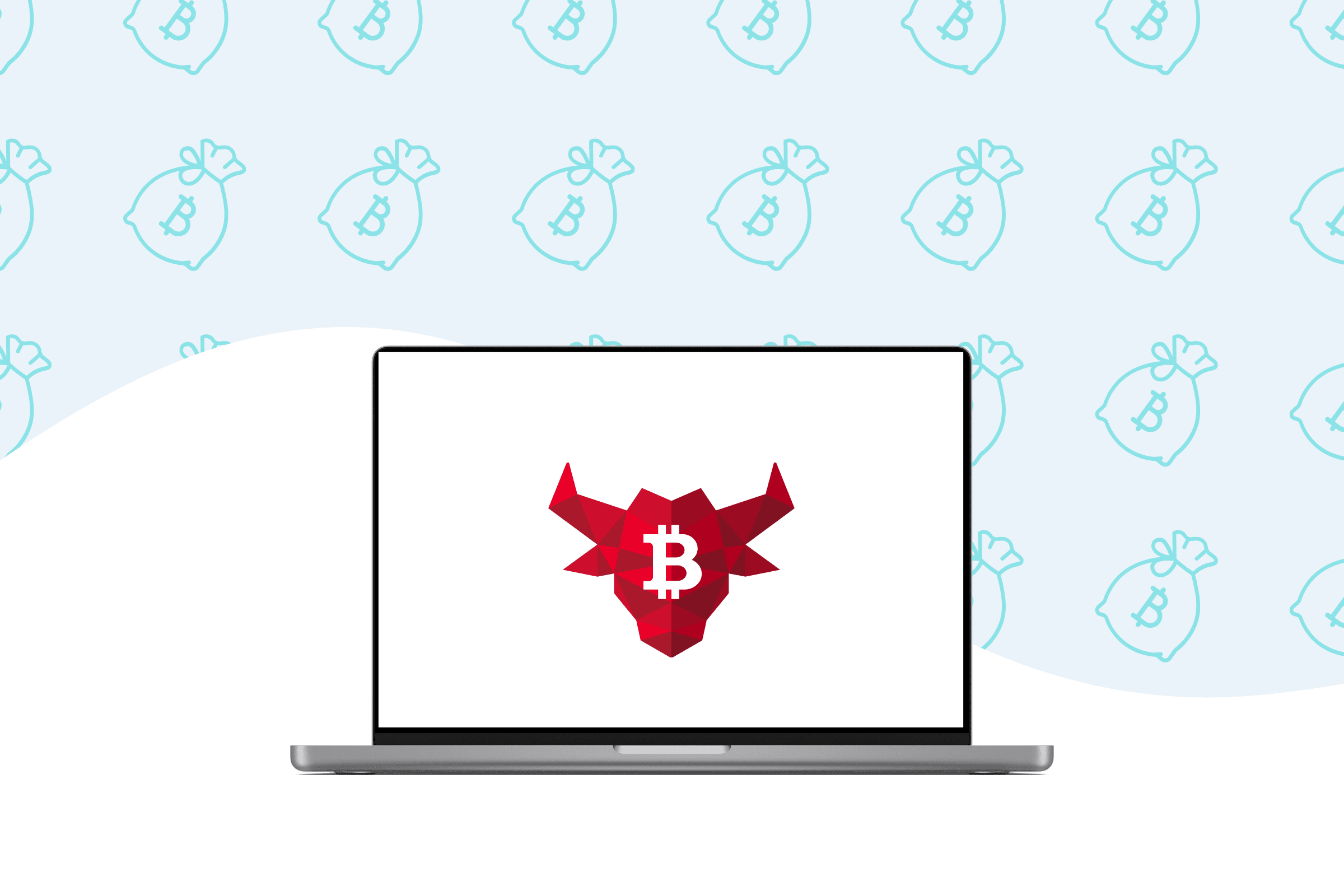 Bull Bitcoin Review: Buy Bitcoin and Pay Your Bills Online