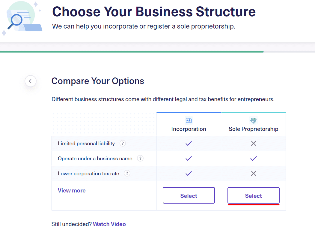 business structure